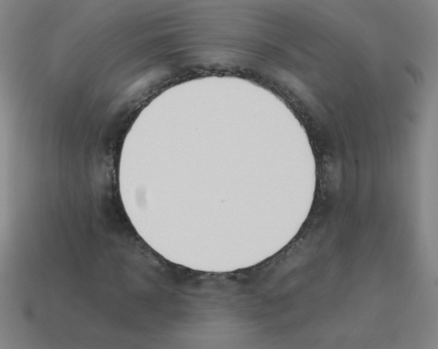 X0000113890918200910221413