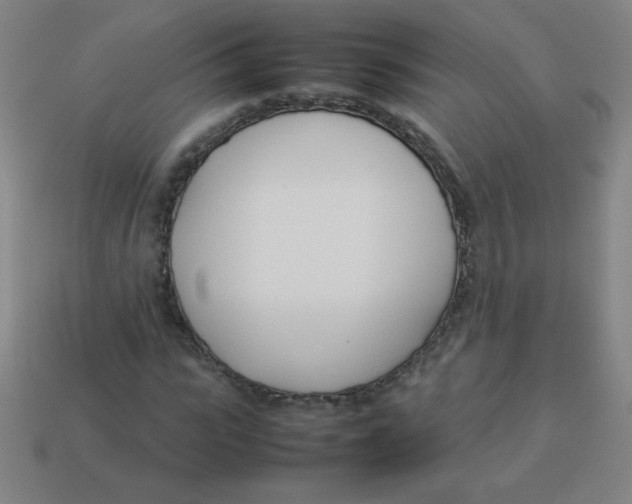 X0000113890919200910221413
