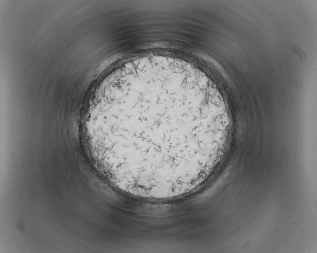 X0000113890921200910221413
