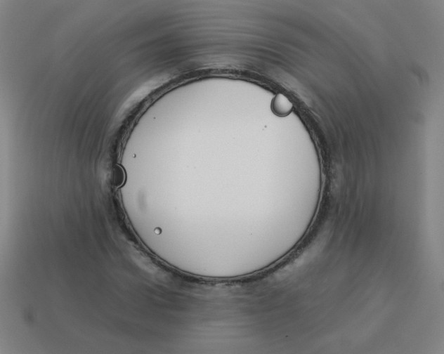X0000113890922200910221413