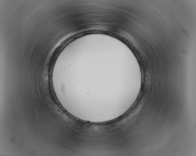 X0000113890923200910221413