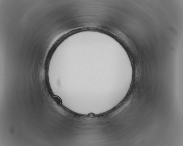 X0000113890924200910221413