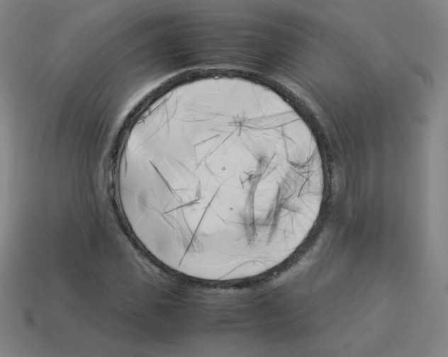 X0000113890925200910221413