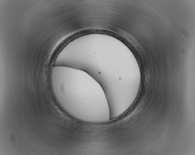 X0000113890926200910221413