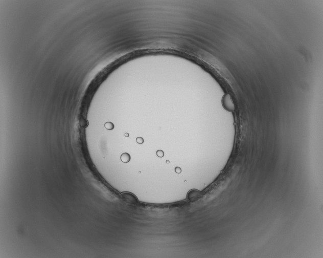 X0000113890928200910221413