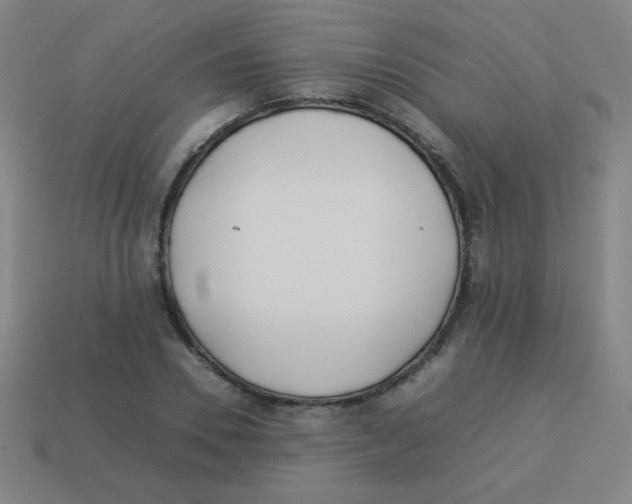 X0000113890930200910221413