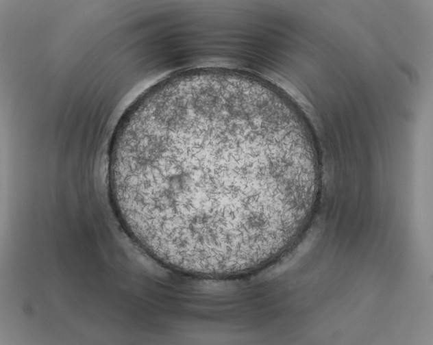 X0000113890933200910221413