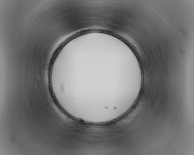X0000113890935200910221413