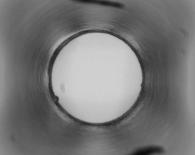X0000113890936200910221413