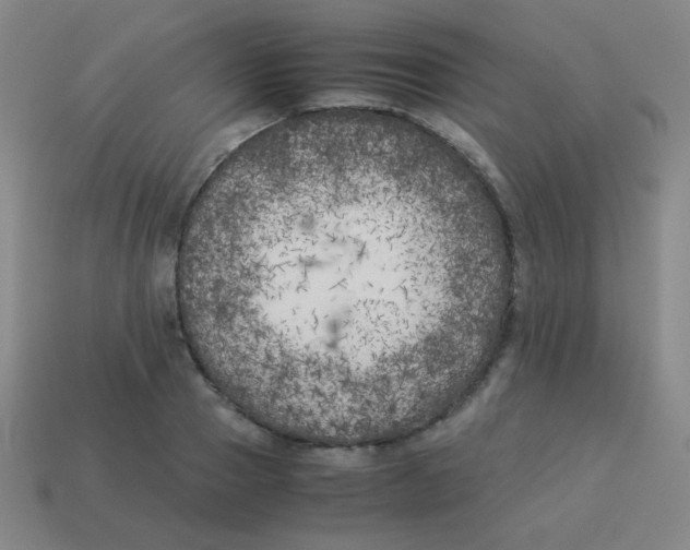 X0000113890937200910221413