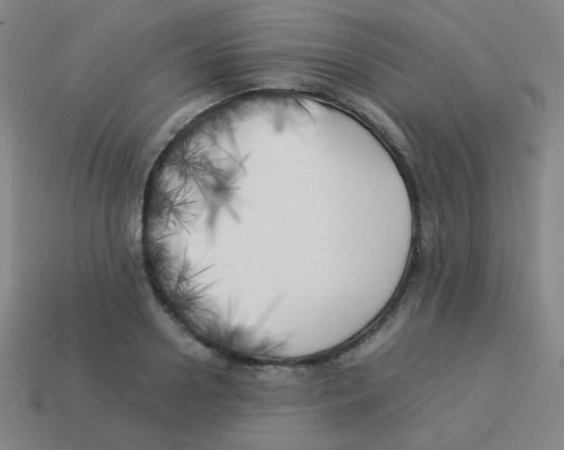 X0000113890938200910221413