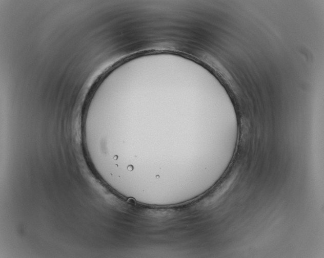 X0000113890939200910221413
