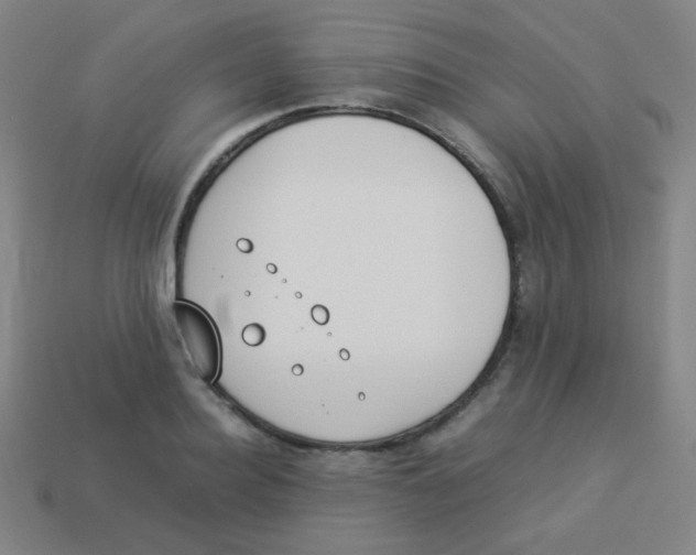 X0000113890940200910221413