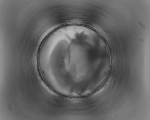 X0000113890941200910221413