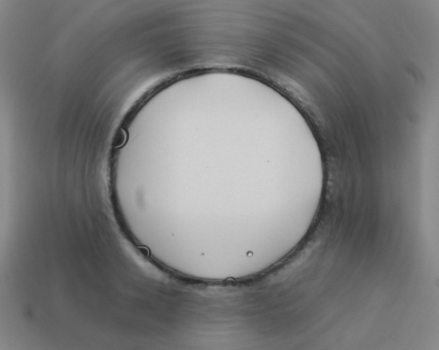 X0000113890942200910221413