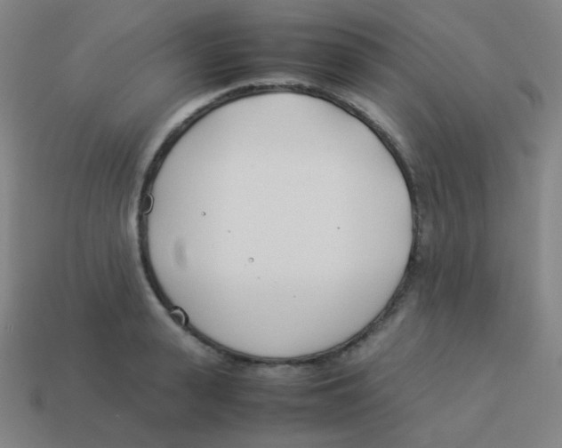 X0000113890943200910221414