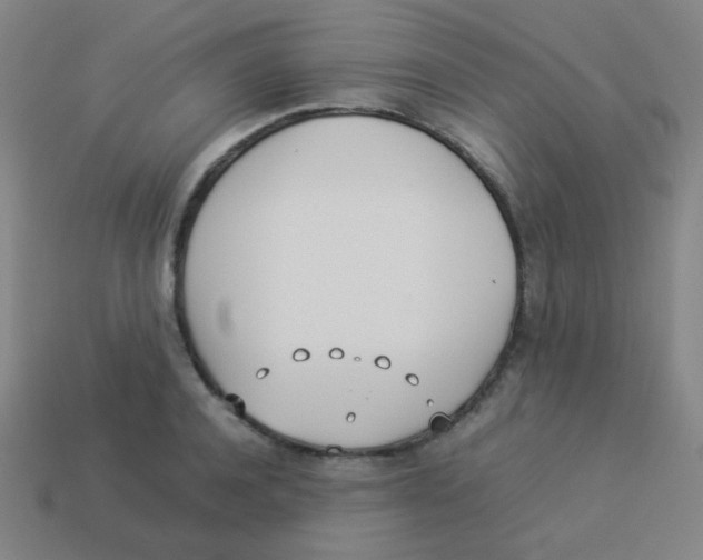X0000113890944200910221414