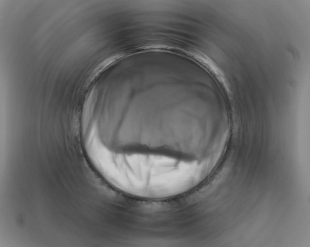X0000113890945200910221414