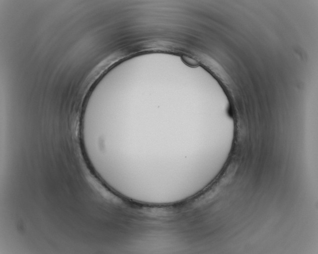 X0000113890946200910221414