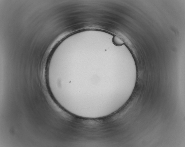 X0000113890947200910221414