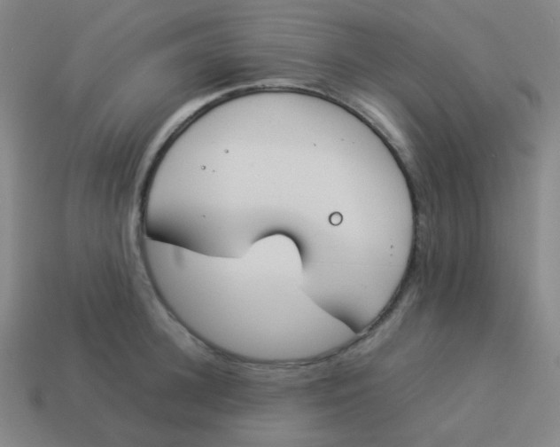 X0000113890948200910221414