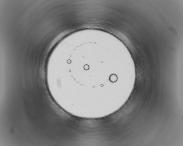 X0000113890950200910221414