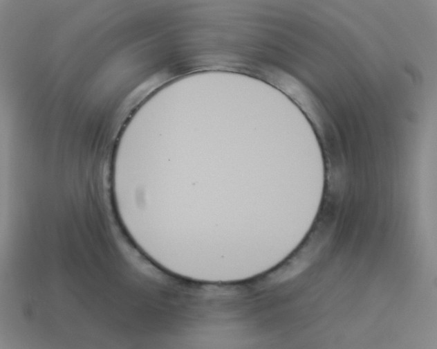 X0000113890954200910221414