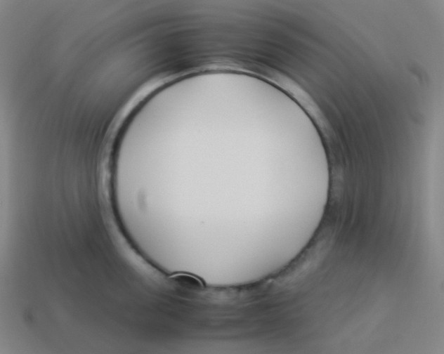 X0000113890955200910221414