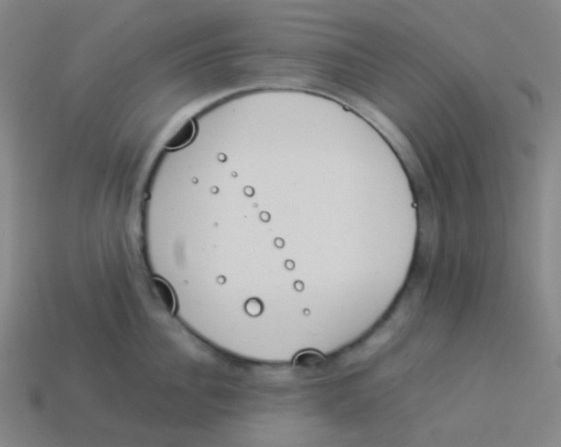 X0000113890956200910221414