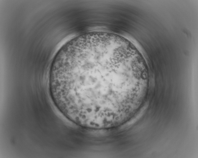 X0000113890957200910221414