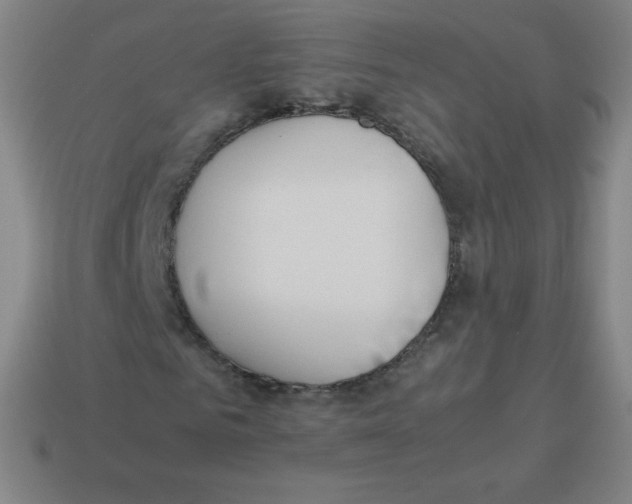 X0000113890961200910221413