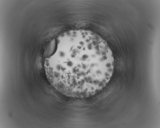 X0000113890962200910221413