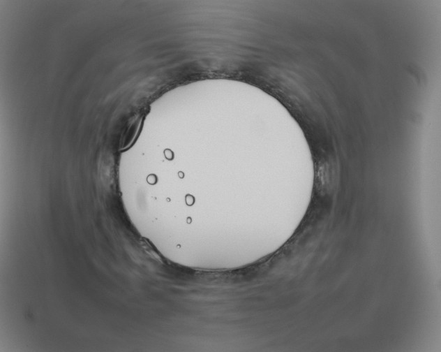 X0000113890963200910221413
