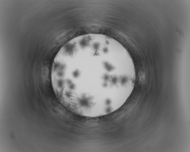 X0000113890964200910221413
