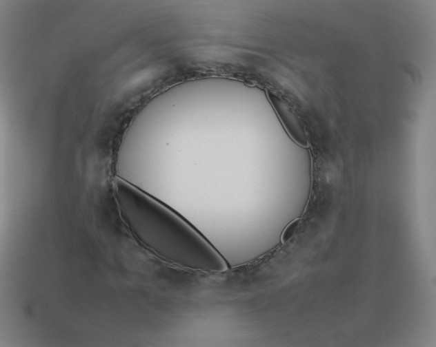 X0000113890965200910221413
