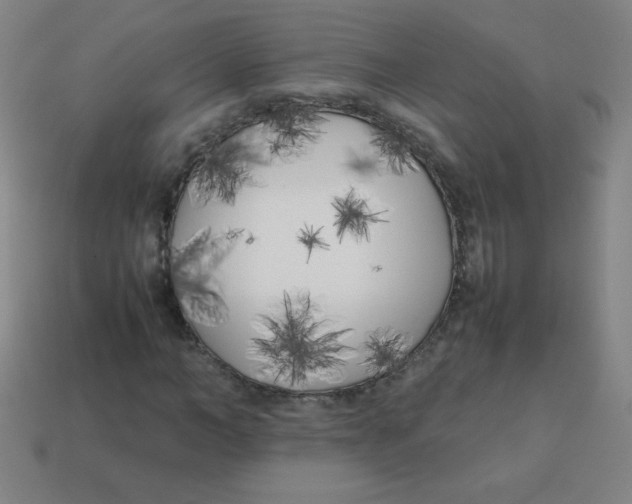 X0000113890966200910221413