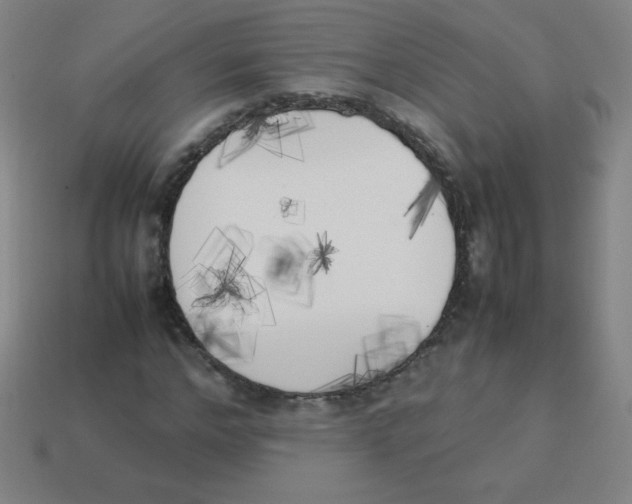 X0000113890968200910221413