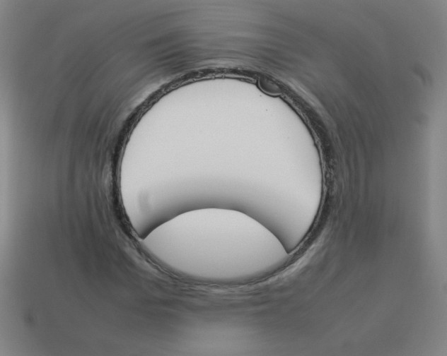 X0000113890969200910221413