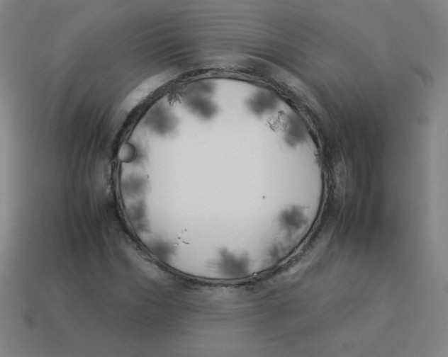 X0000113890970200910221413