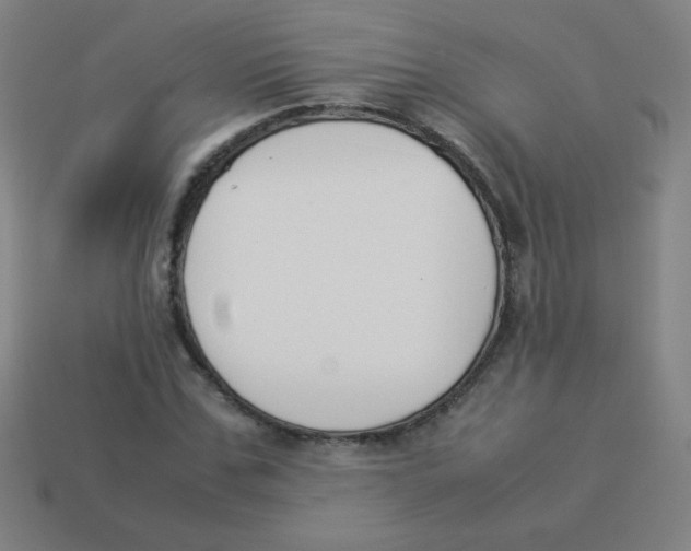 X0000113890971200910221413