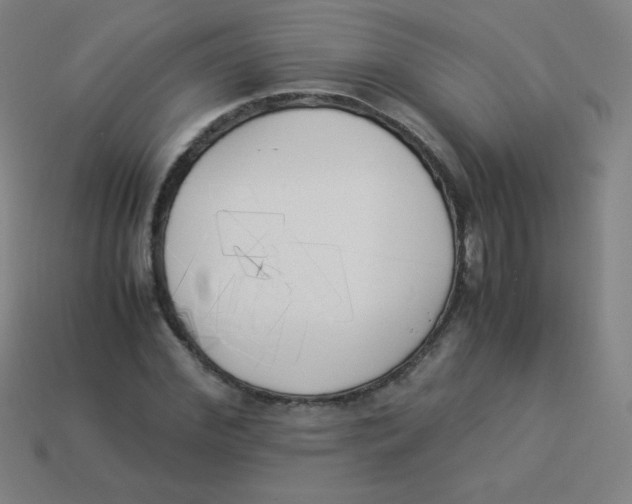 X0000113890972200910221413