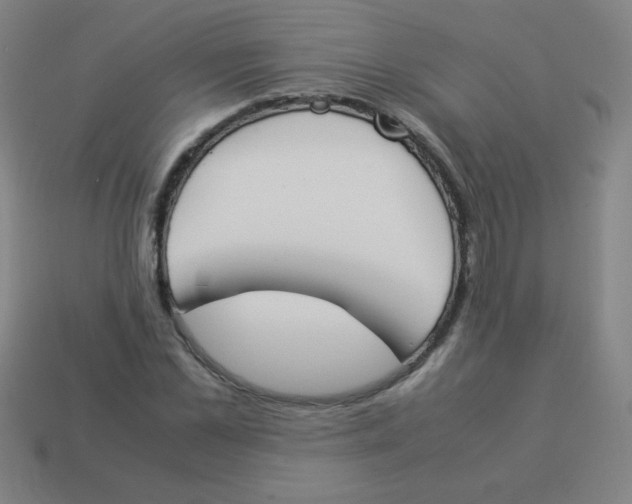 X0000113890973200910221413