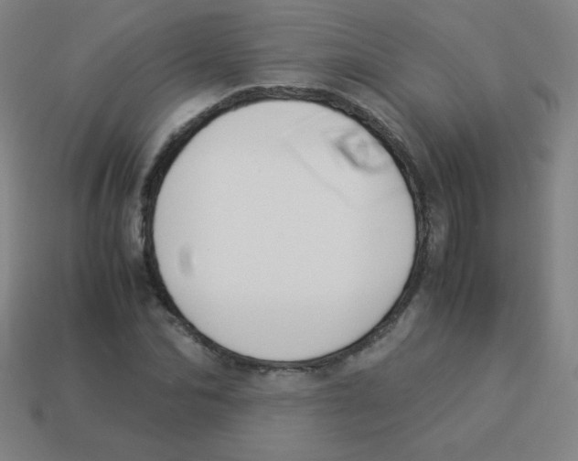 X0000113890974200910221413