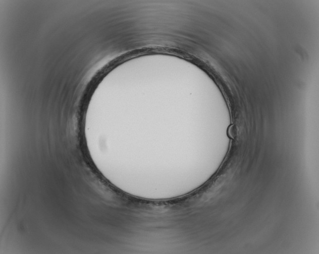 X0000113890975200910221413