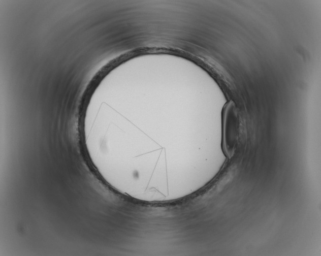 X0000113890976200910221413