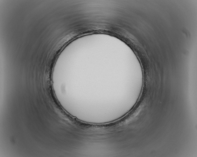 X0000113890977200910221413