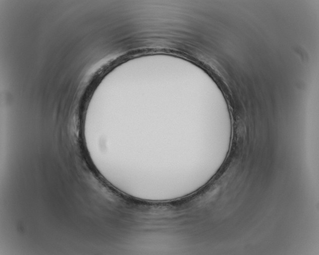 X0000113890979200910221413