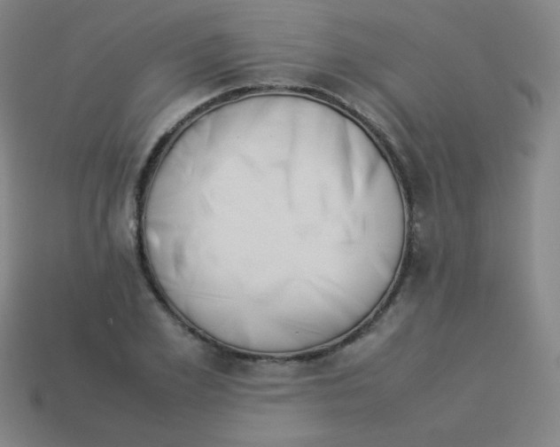 X0000113890981200910221413
