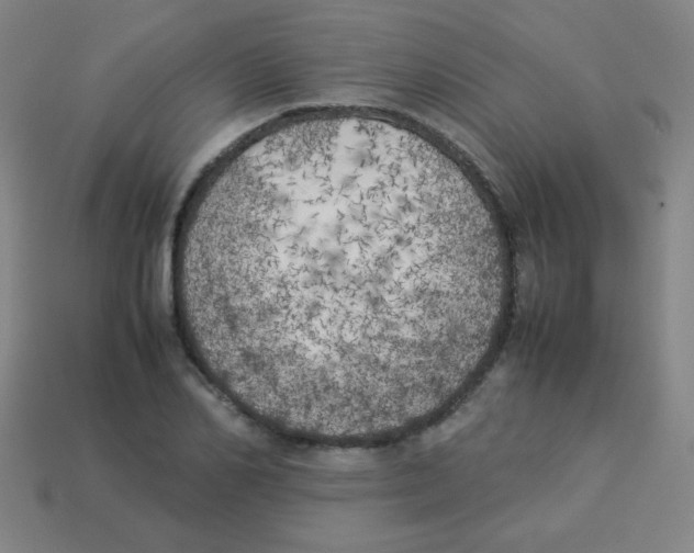 X0000113890982200910221413