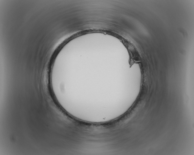 X0000113890983200910221413
